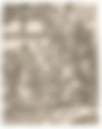 Geburt Christi. Christus vor Herodes. Die Dornenkrönung. Die Kreuztragung (aus der kleinen Holzschnittpassion) (preview)