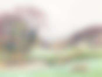 Grazing Sheep (preview)
