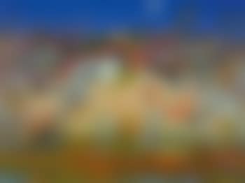 Sunset, Shoalhaven Riverbank (preview)