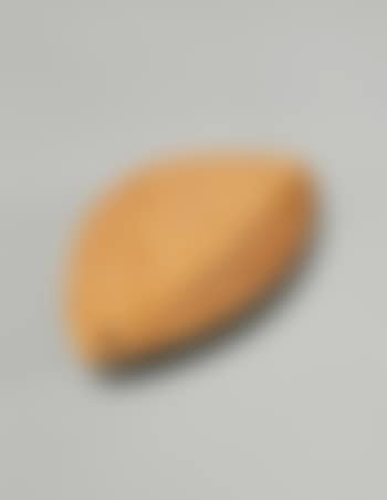Leaf dish (preview)