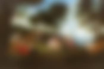 The Rape of Europa (preview)
