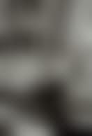 Willy Varlin, Switzerland (preview)