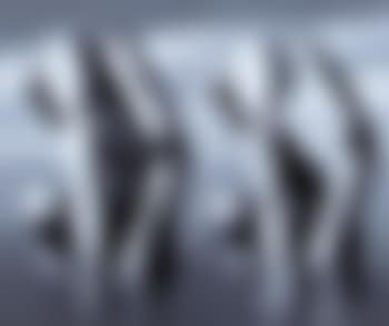 Il riflesso mente (preview)