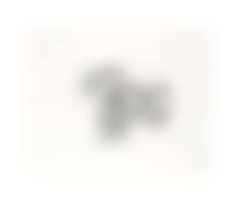 Monotype (preview)