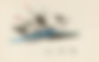 Dreimaster Mit Schwarzen Segeln Und Bunten Flaggen (preview)