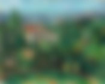Blick Über Florenz (preview)