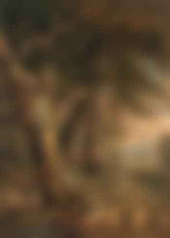 Verdorrte Eiche (preview)