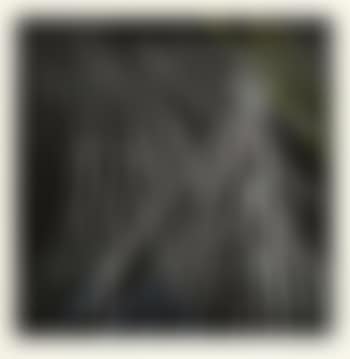 H-1973-8 (preview)