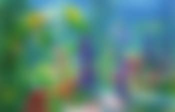 Garden II (preview)