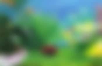 Garden II (preview)