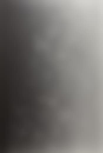 Untitled, 2007 (preview)