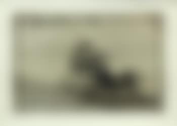 The picador rouses the bull (preview)