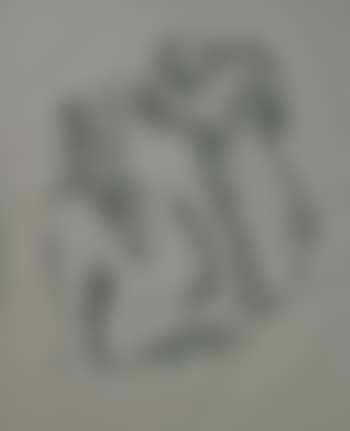 Two female nudes (preview)
