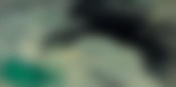 Composition (preview)