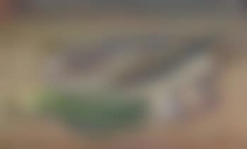 Garfish, still life (preview)