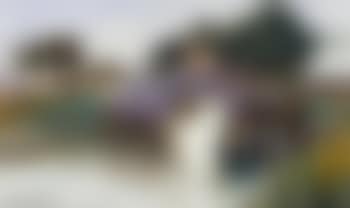 Venice (preview)