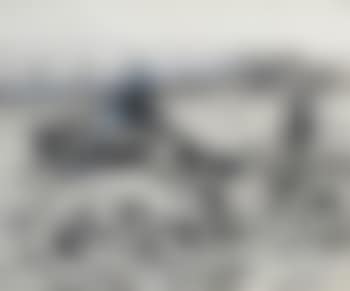 The runaway horse (preview)