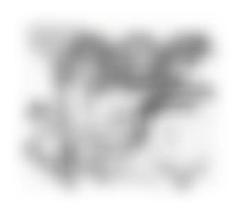 Conduction 2 (preview)