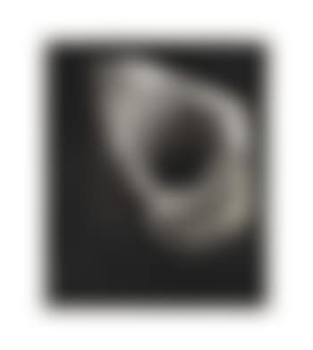 Study for Raging Shark (preview)