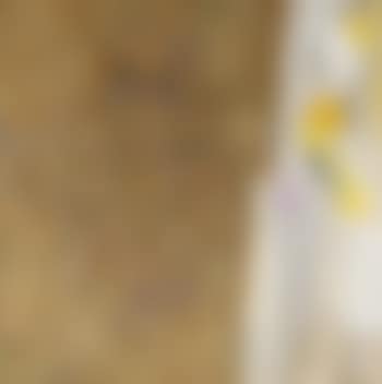Grande Chambre 15 (preview)