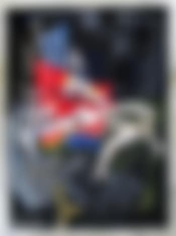 Nature Morte Au Claire De Lune (preview)