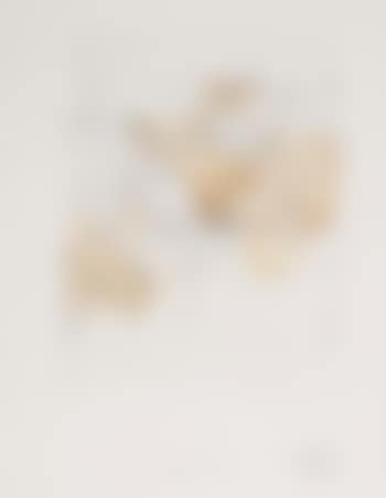 [Untitled] (preview)