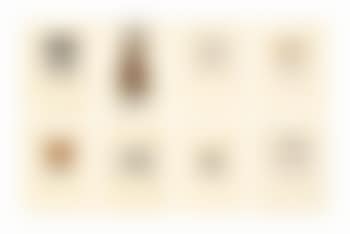 Ring; Beads; Teeth; Tie; Doughtnut; Zipper; Hair; Tweed; Locket, and Apple (preview)