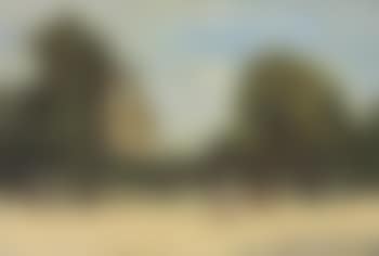 Les Tuileries Et Le Pavillon De Flore (preview)