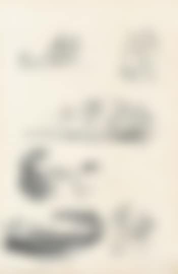 A Set of Four Illustrations (Possibly for The Rabbit Skin Cap) (preview)