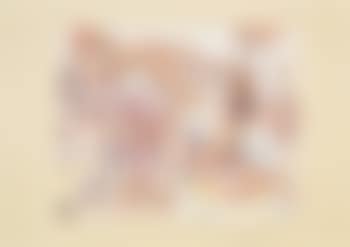 Landschaft mit Agaven (preview)