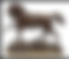 Angelo (preview)