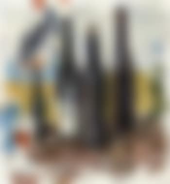 De flessen - Les bouteilles (preview)