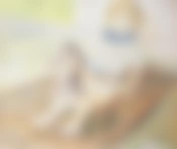 Kindje op een schommelpaard (preview)