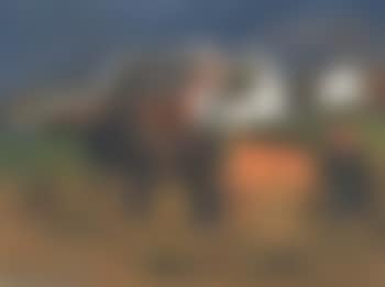 Boerin met paard en kar (preview)