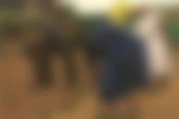 Schoffelaars (preview)