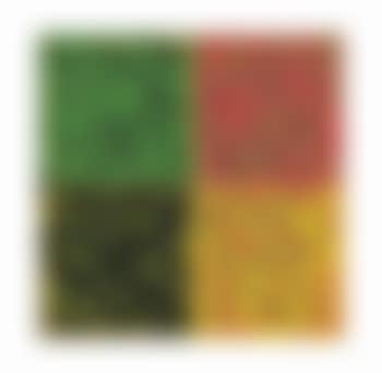 Verderossogiallonero (Greenredyellowblack) (preview)