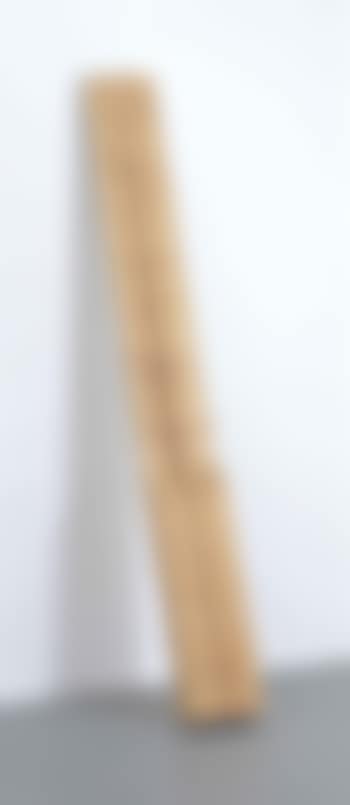 Ripetere Il Bosco - Frammento 28 (Repeat The Wood - Fragment 28) (preview)