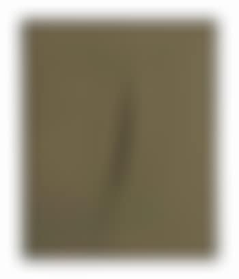 Concetto Spaziale, Attesa (preview)