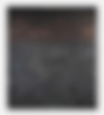 SP190 (preview)