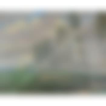 Al pascolo (preview)
