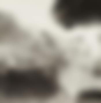 Sans titre (preview)