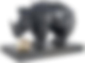 Rhinocéros habillé en dentelle (preview)