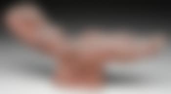 Figure of a nude (preview)
