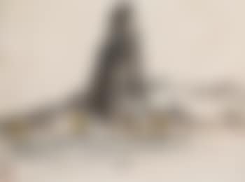Qi Xing Yan (preview)