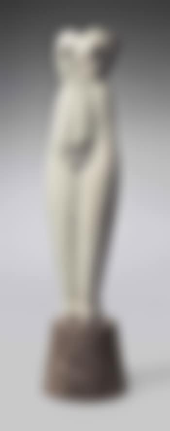 Symmetrical Torso (preview)