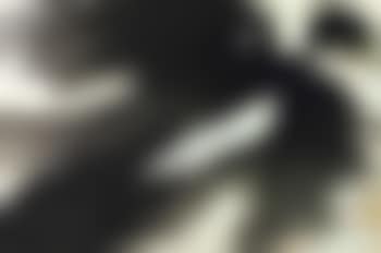 L'incantesimo Del Re Di Gran Bretagna (preview)