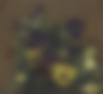 Pensées (preview)