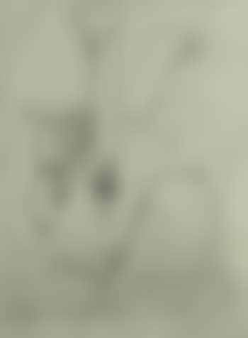 La Guitare (preview)