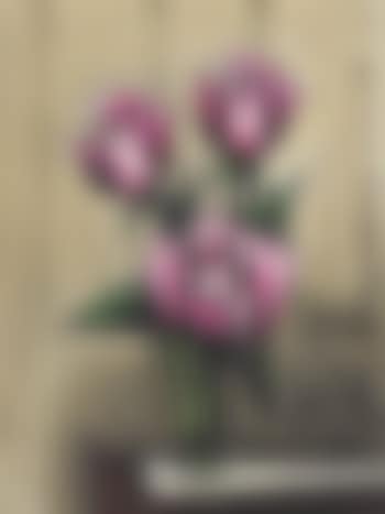 Roses (preview)