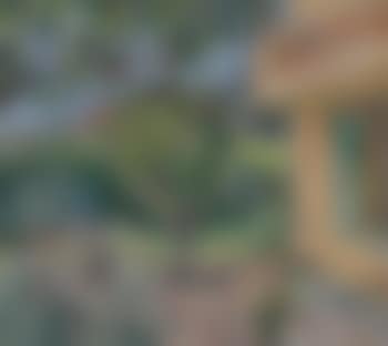 Le Cannet, Jeune Femme Lisant Dans Un Jardin (preview)